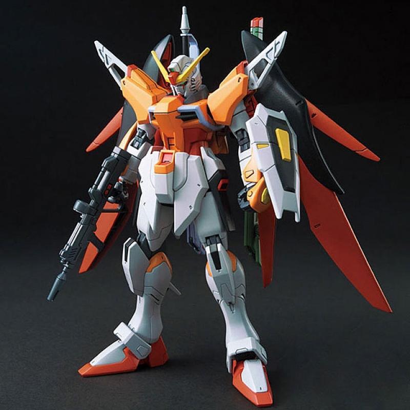 Dp Hg 1/144 Destiny Heine Custom include WOL